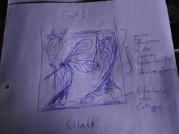 - (Aquarium, Tierhaltung, Süßwasseraquarium)