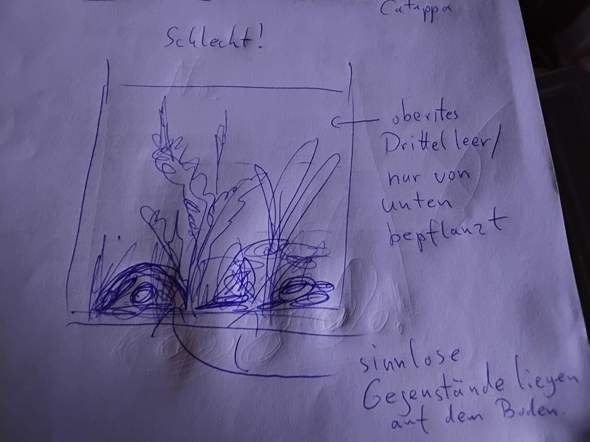 - (Aquarium, Tierhaltung, Süßwasseraquarium)