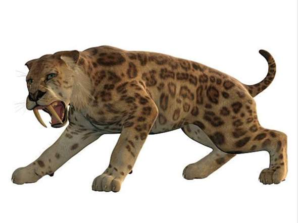 - (Tiere, Wildtiere)