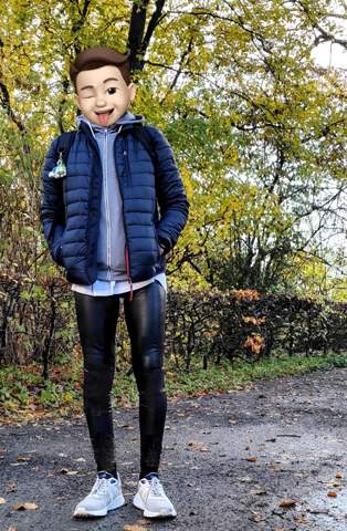 Bild zum Beitrag