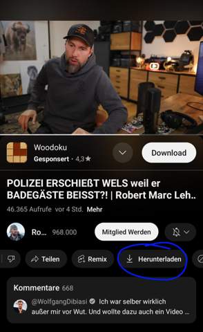 Bild zum Beitrag