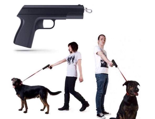 - (Deutschland, Hund)