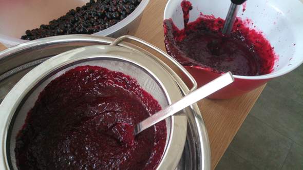 - (Früchte, Beeren, Beerenobst)