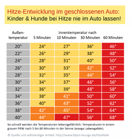 Bild zum Beitrag