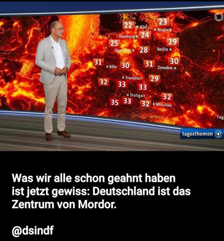 Bild zum Beitrag