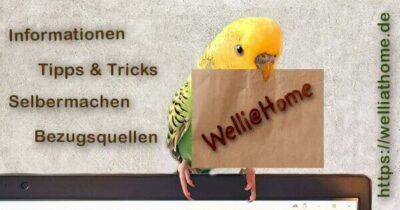 - (Tierarzt, fliegen, Tierhaltung)