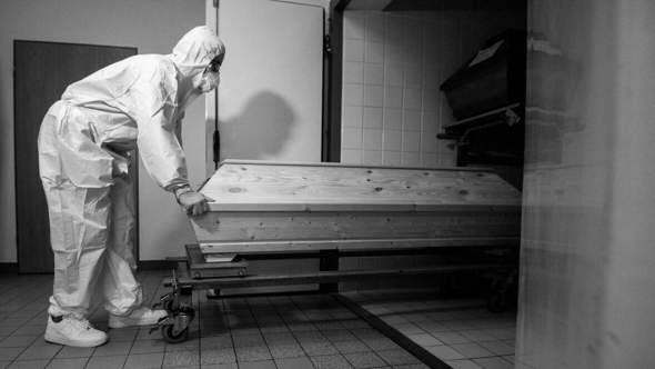 Bild zum Beitrag