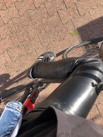 Bild zum Beitrag