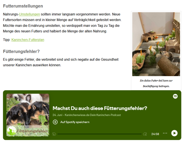 Bild zum Beitrag