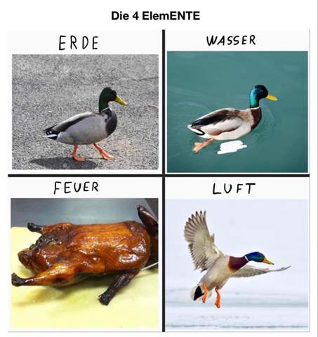 - (Tierarzt, Ente, Küken)