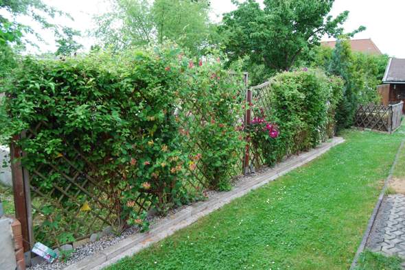 Bild zum Beitrag