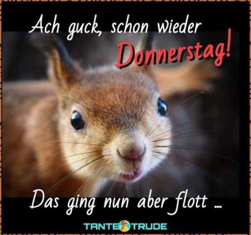 - (Menschen, schlafen, Nacht)