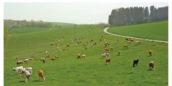 Bild zum Beitrag