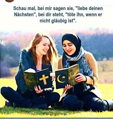 Bild zum Beitrag