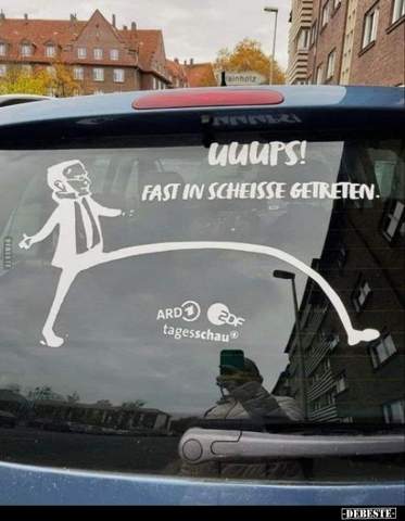 Bild zum Beitrag