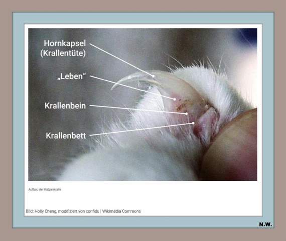 Bild zum Beitrag