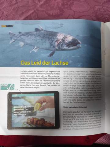 Bild zum Beitrag