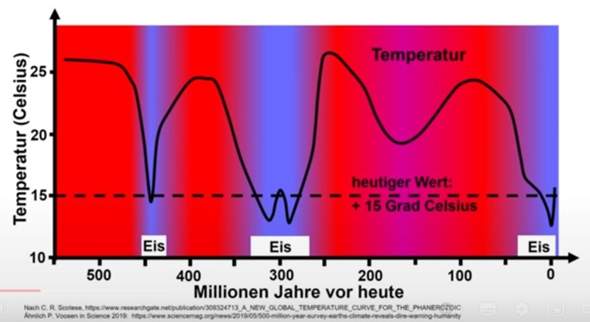 Bild zum Beitrag