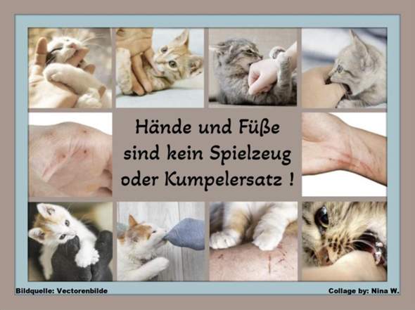 Bild zum Beitrag