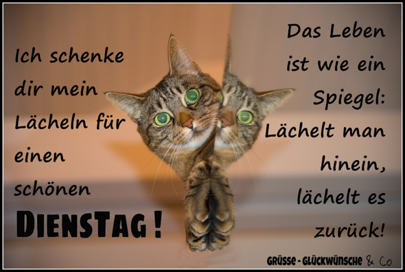 - (Gugumo, teilen, Mitmenschen)