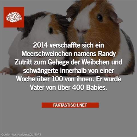 Bild zum Beitrag