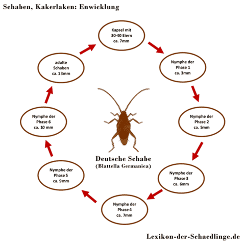 Bild zum Beitrag