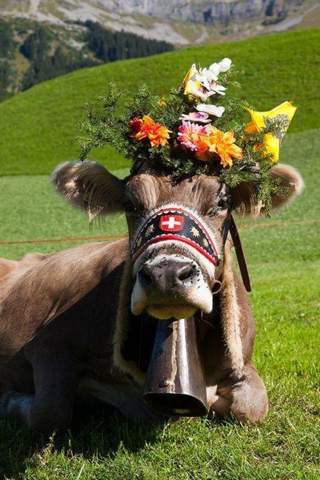 Bild zum Beitrag