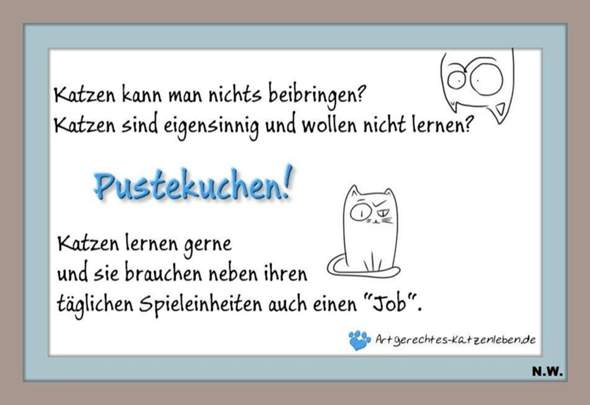Bild zum Beitrag