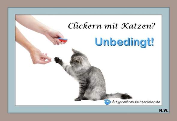 Bild zum Beitrag