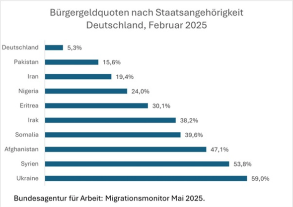 Bild zum Beitrag