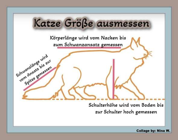 Bild zum Beitrag
