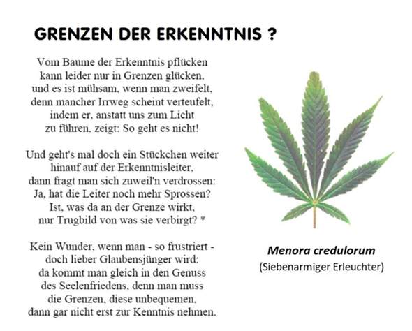 - (Schule, Psychologie, Philosophie und Gesellschaft)
