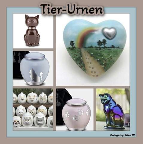 Bild zum Beitrag