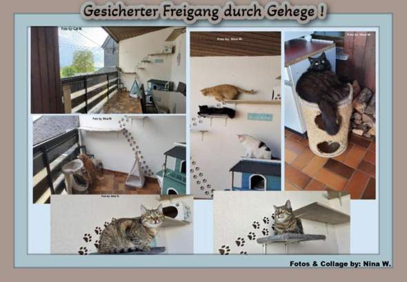 Bild zum Beitrag
