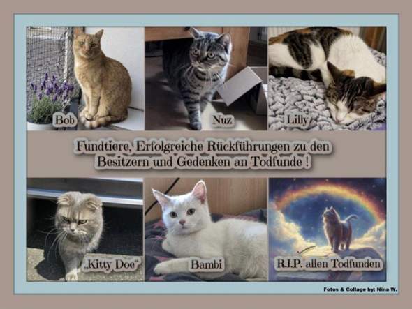 Bild zum Beitrag