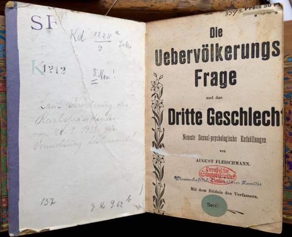 Bild zum Beitrag