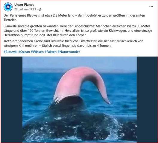 Bild zum Beitrag