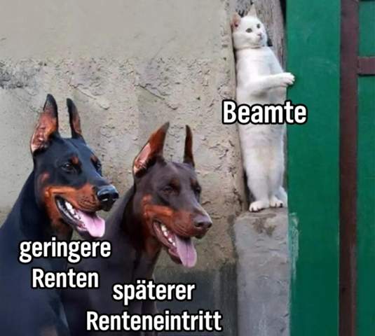 Bild zum Beitrag