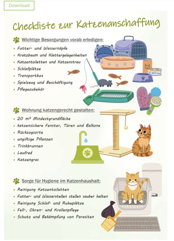 - (Katzenjunges, Hauskatze, Tierheim)