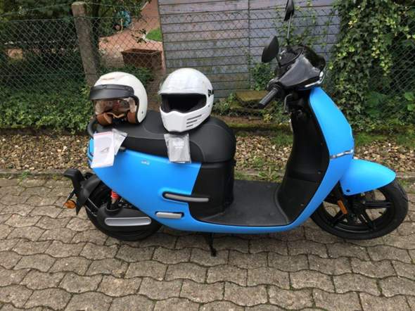 Bild zum Beitrag