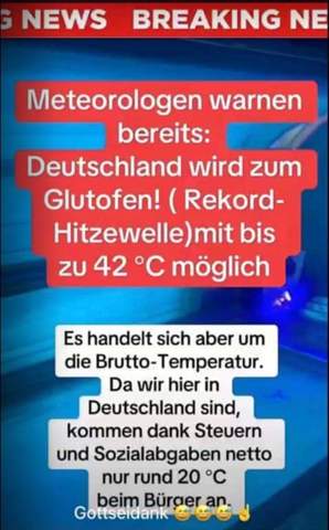 Bild zum Beitrag