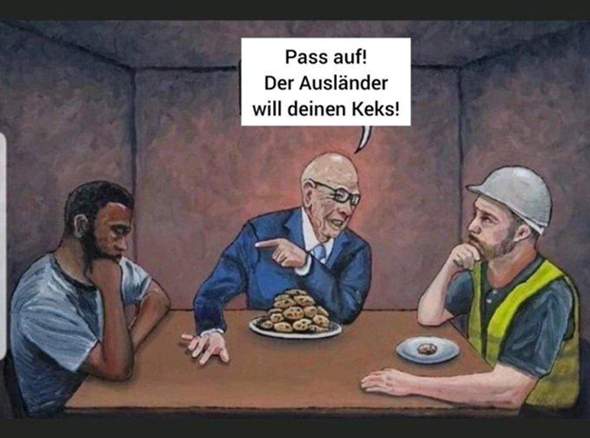 Bild zum Beitrag