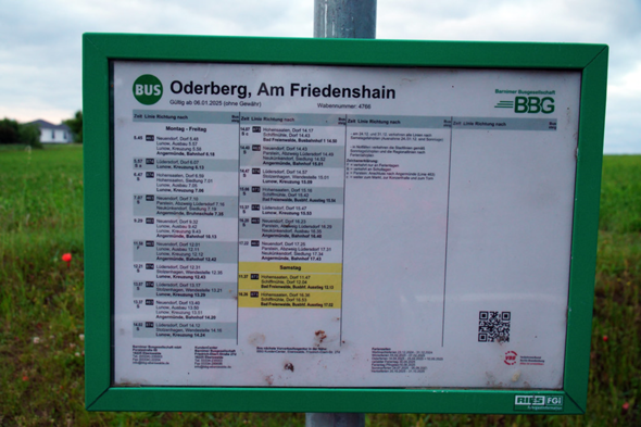 Bild zum Beitrag