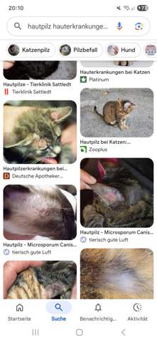 Bild zum Beitrag