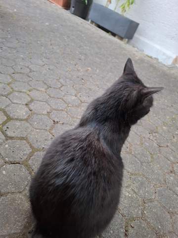 Bild zum Beitrag