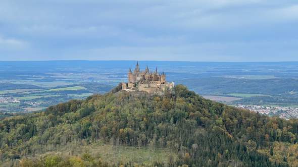 Bild zum Beitrag