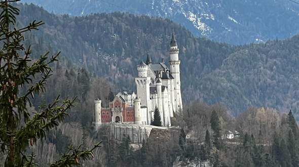 Bild zum Beitrag