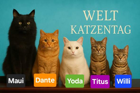 Bild zum Beitrag
