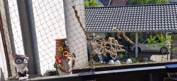 Bild zum Beitrag