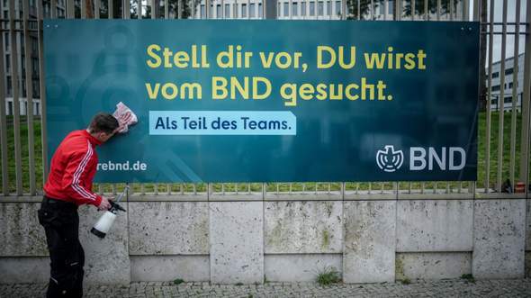 Bild zum Beitrag